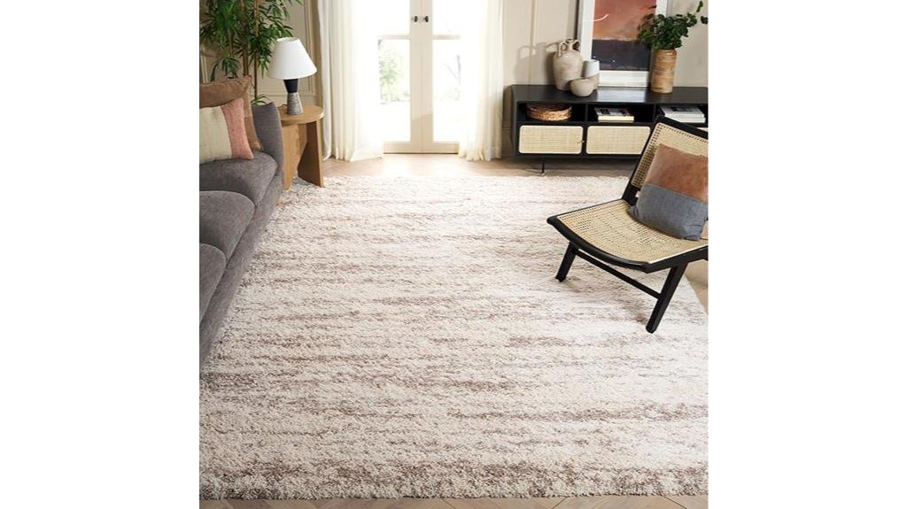 8x10 shag rug