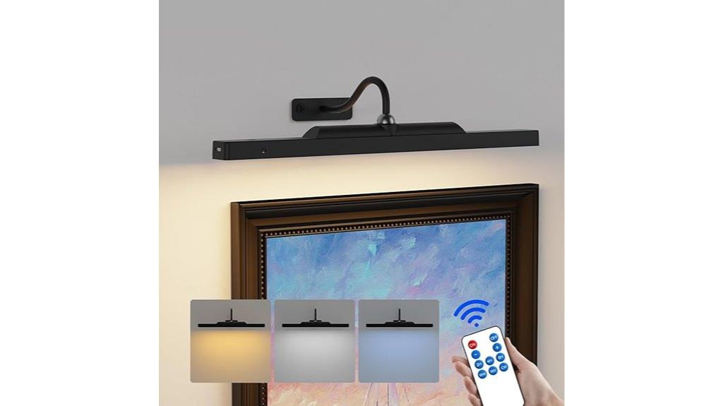 adjustable cordless picture light