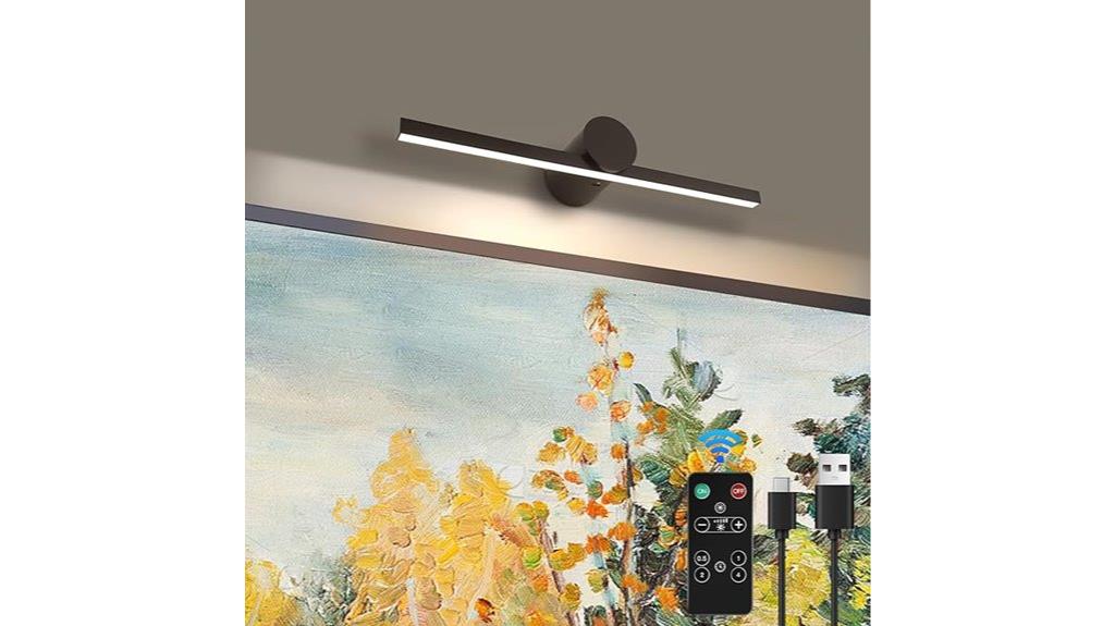 battery powered picture light