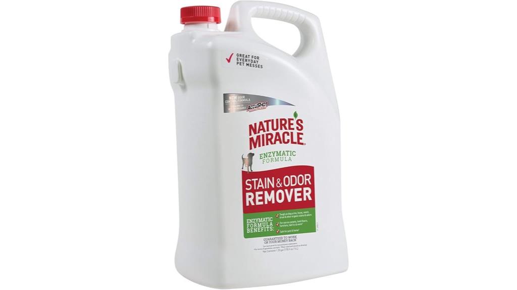 dog stain odor remover