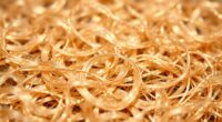 microscopic fibre light reflection
