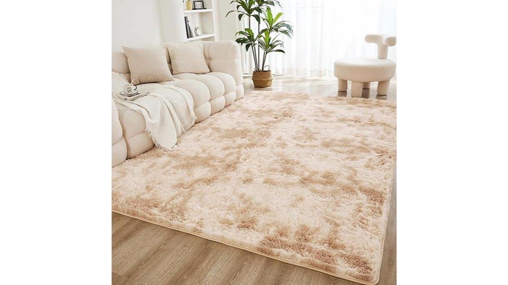 shag rug for living