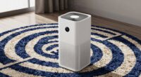 air purifiers and rugs