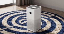 air purifiers and rugs