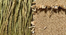 durable vs non durable natural fibers