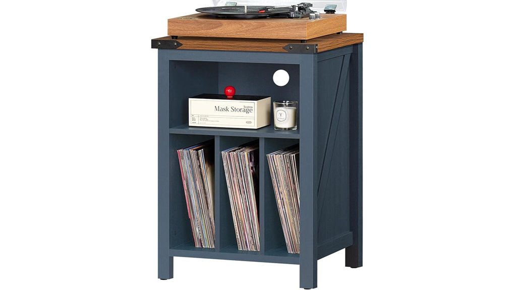 navy blue vinyl storage