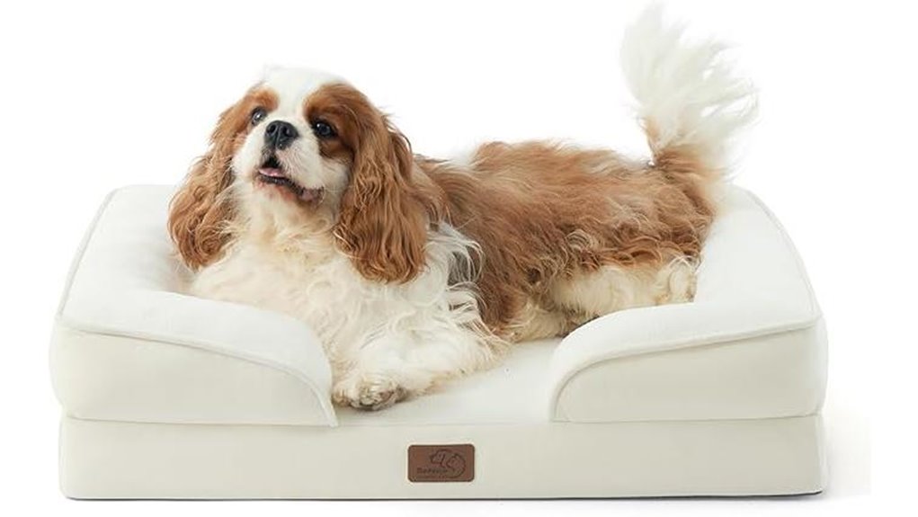 orthopedic washable dog bed