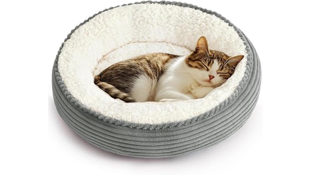 pet bed for cats