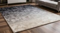 top modern ombr rugs