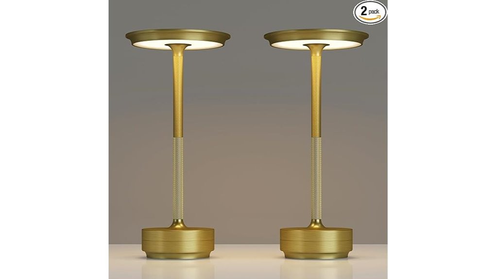 two rechargeable led lamps