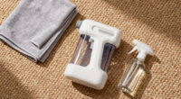10 Best Cordless Carpet Stain Removers in 2026