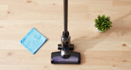 15 Best Cordless Stick Vacuum Cleaners in 2026