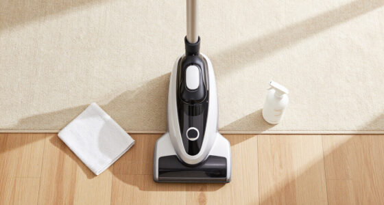 15 Best Portable Carpet Steam Cleaners in 2026