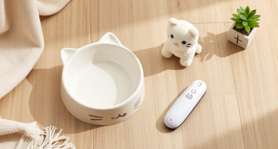 Best Gifts for a Cat Owner